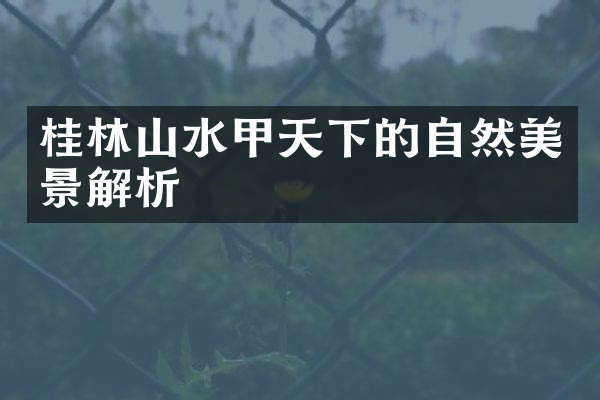 桂林山水甲天下的自然美景解析