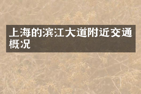 上海的滨江大道附近交通概况