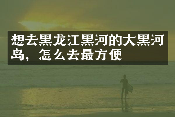 想去黑龙江黑河的大黑河岛，怎么去最方便