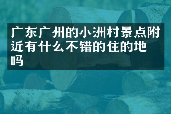 广东广州的小洲村景点附近有什么不错的住的地方吗