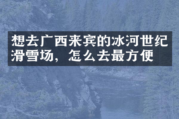 想去广西来宾的冰河世纪滑雪场，怎么去最方便