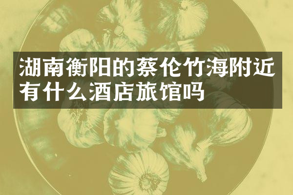 湖南衡阳的蔡伦竹海附近有什么酒店旅馆吗
