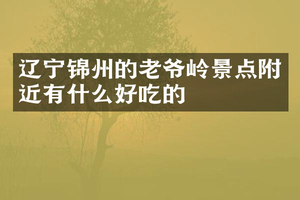 辽宁锦州的老爷岭景点附近有什么好吃的