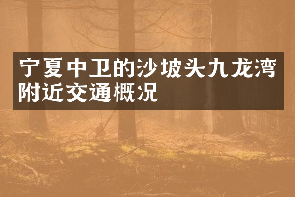 宁夏中卫的沙坡头九龙湾附近交通概况