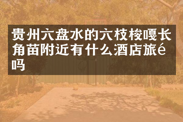贵州六盘水的六枝梭嘎长角苗附近有什么酒店旅馆吗