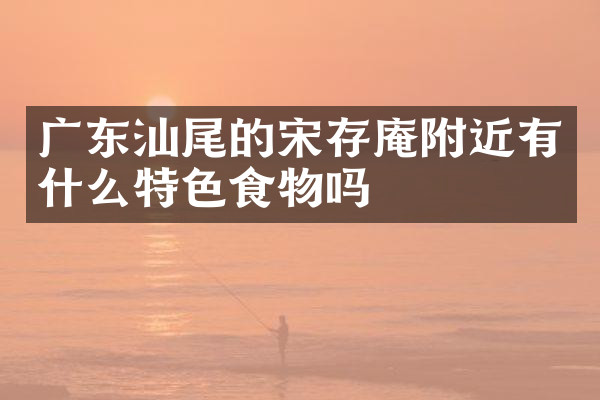 广东汕尾的宋存庵附近有什么特色食物吗