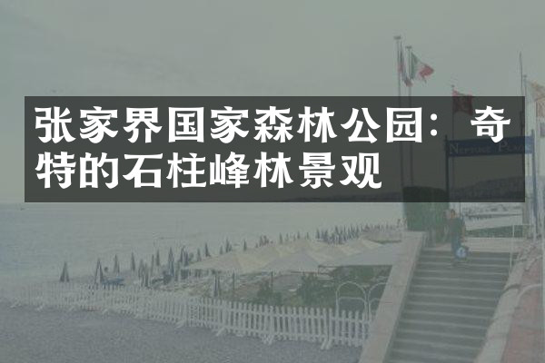 张家界国家森林公园：奇特的石柱峰林景观