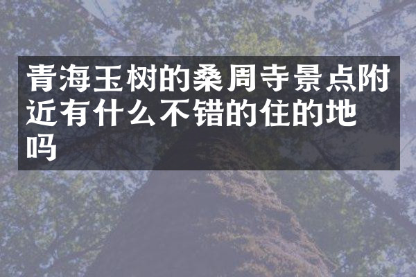 青海玉树的桑周寺景点附近有什么不错的住的地方吗