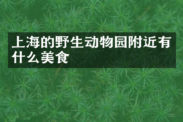上海的野生动物园附近有什么美食