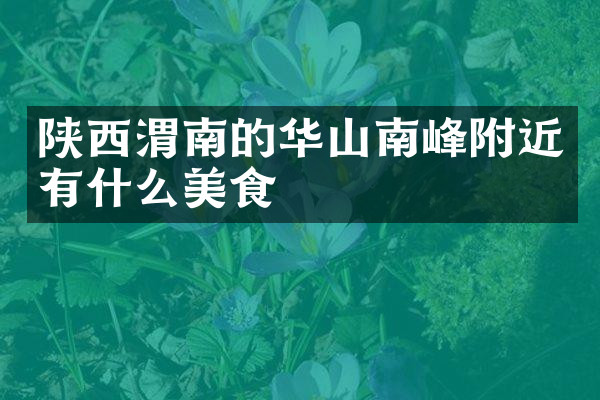 陕西渭南的华山南峰附近有什么美食