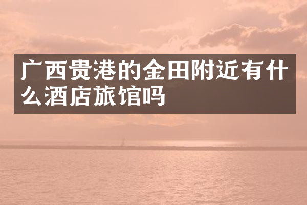 广西贵港的金田附近有什么酒店旅馆吗