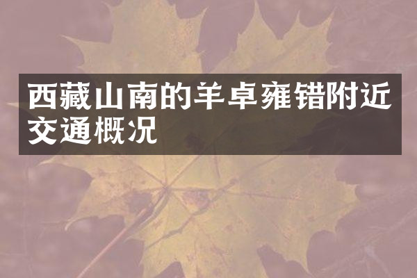 西藏山南的羊卓雍错附近交通概况