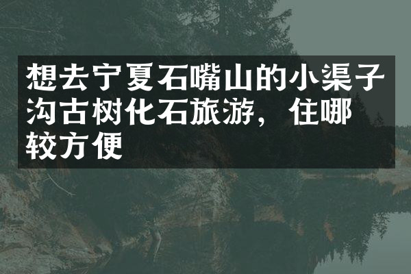想去宁夏石嘴山的小渠子沟古树化石旅游，住哪比较方便
