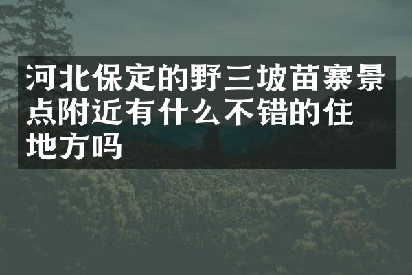 河北保定的野三坡苗寨景点附近有什么不错的住的地方吗