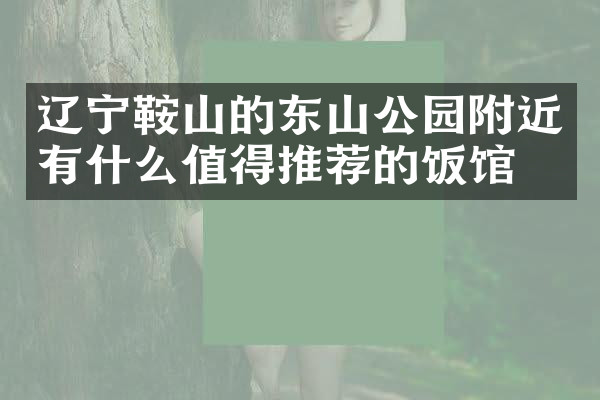 辽宁鞍山的东山公园附近有什么值得推荐的饭馆吗