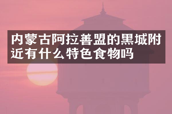 内蒙古阿拉善盟的黑城附近有什么特色食物吗