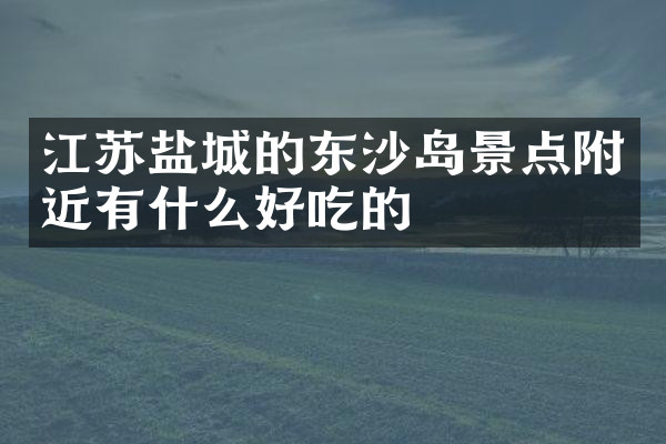 江苏盐城的东沙岛景点附近有什么好吃的