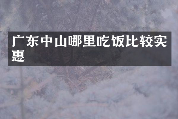 广东中山哪里吃饭比较实惠
