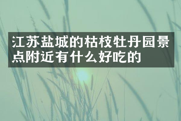 江苏盐城的枯枝牡丹园景点附近有什么好吃的