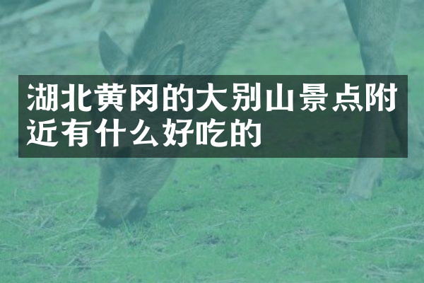 湖北黄冈的大别山景点附近有什么好吃的