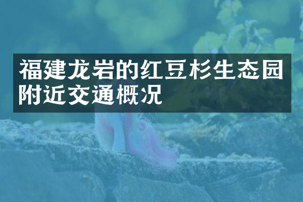 福建龙岩的红豆杉生态园附近交通概况