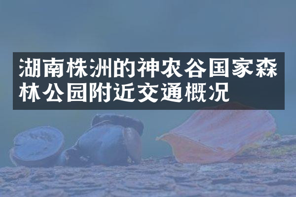 湖南株洲的神农谷国家森林公园附近交通概况