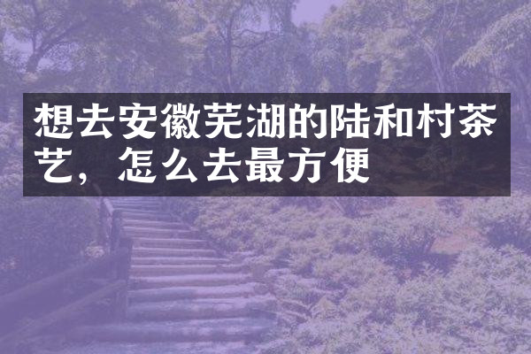 想去安徽芜湖的陆和村茶艺，怎么去最方便