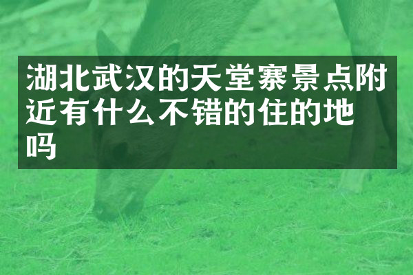 湖北武汉的天堂寨景点附近有什么不错的住的地方吗