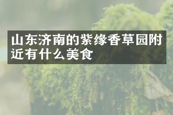 山东济南的紫缘香草园附近有什么美食