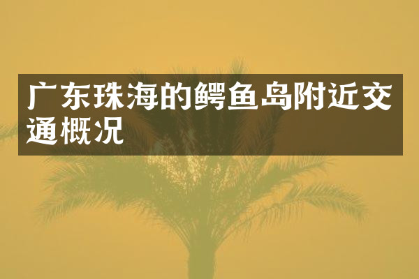 广东珠海的鳄鱼岛附近交通概况