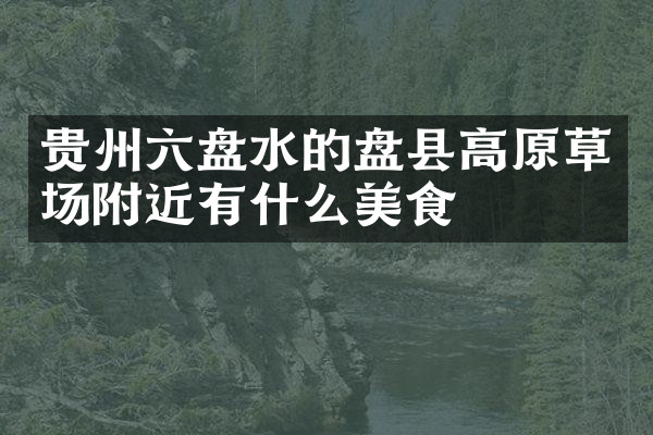贵州六盘水的盘县高原草场附近有什么美食