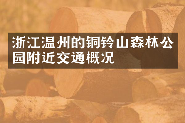 浙江温州的铜铃山森林公园附近交通概况