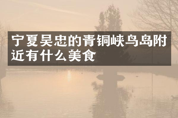 宁夏吴忠的青铜峡鸟岛附近有什么美食
