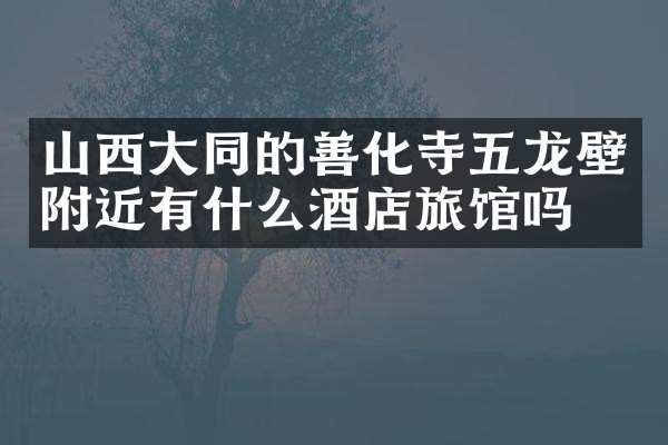 山西大同的善化寺五龙壁附近有什么酒店旅馆吗
