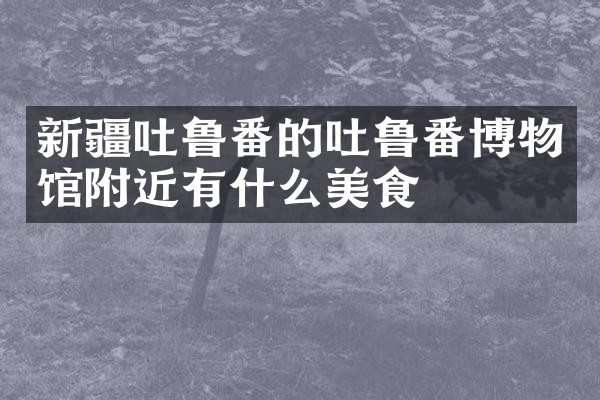 新疆吐鲁番的吐鲁番博物馆附近有什么美食