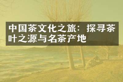 中国茶文化之旅：探寻茶叶之源与名茶产地