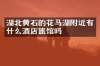 湖北黄石的花马湖附近有什么酒店旅馆吗
