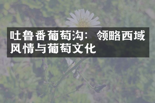 吐鲁番葡萄沟：领略西域风情与葡萄文化