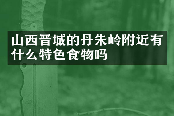 山西晋城的丹朱岭附近有什么特色食物吗