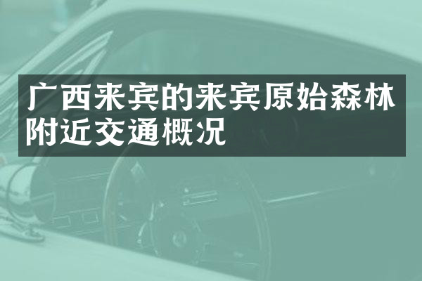 广西来宾的来宾原始森林附近交通概况