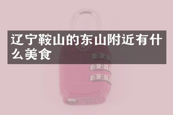 辽宁鞍山的东山附近有什么美食