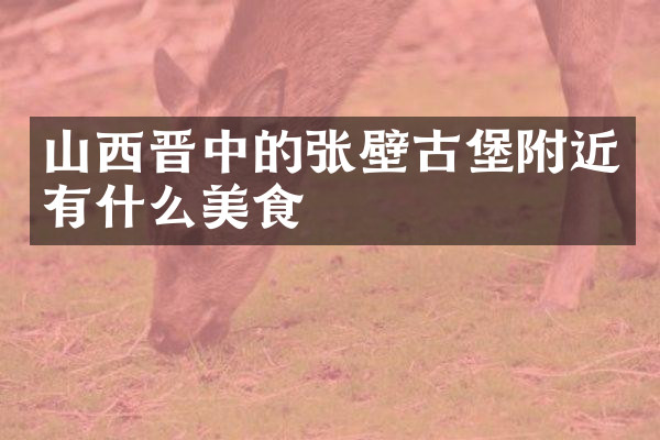 山西晋中的张壁古堡附近有什么美食
