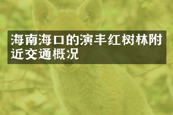 海南海口的演丰红树林附近交通概况