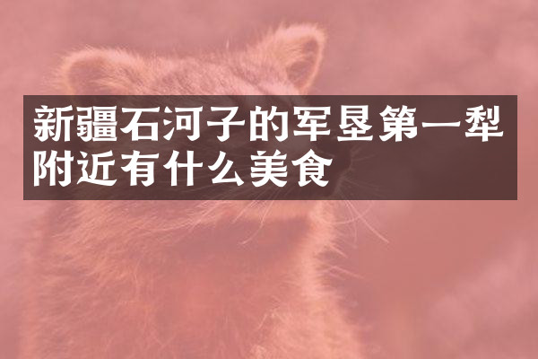 新疆石河子的军垦第一犁附近有什么美食