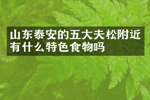 山东泰安的五大夫松附近有什么特色食物吗