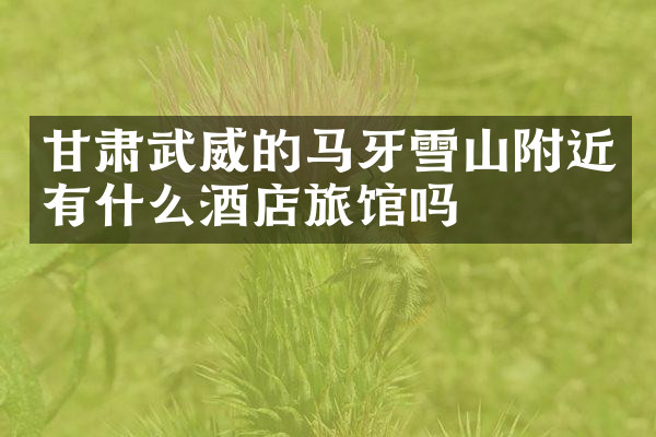 甘肃武威的马牙雪山附近有什么酒店旅馆吗