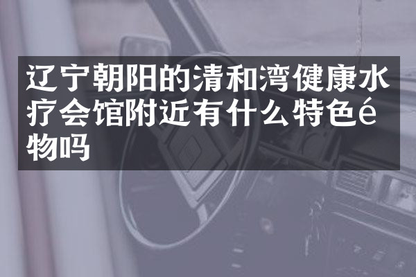 辽宁朝阳的清和湾健康水疗会馆附近有什么特色食物吗