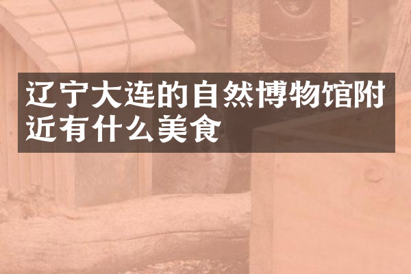 辽宁大连的自然博物馆附近有什么美食