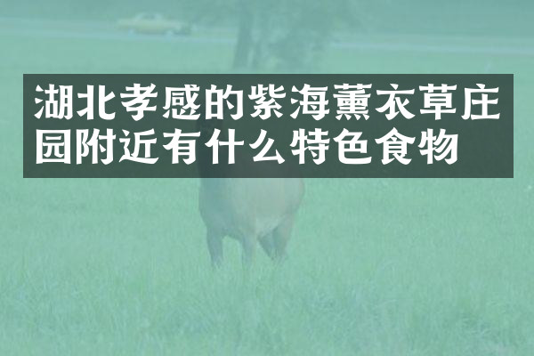 湖北孝感的紫海薰衣草庄园附近有什么特色食物吗