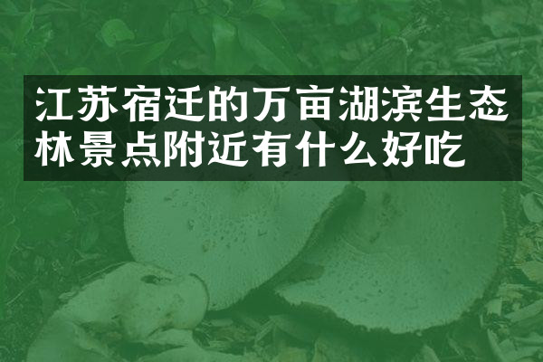 江苏宿迁的万亩湖滨生态林景点附近有什么好吃的